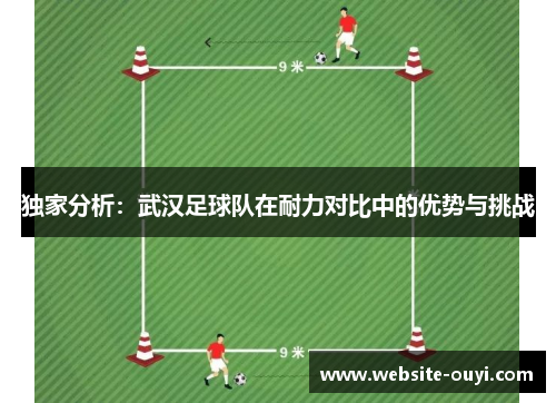 独家分析：武汉足球队在耐力对比中的优势与挑战