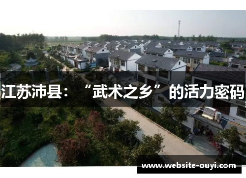 江苏沛县：“武术之乡”的活力密码